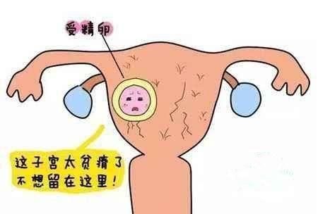 排卵期子宫内膜厚度5mm正常吗图2