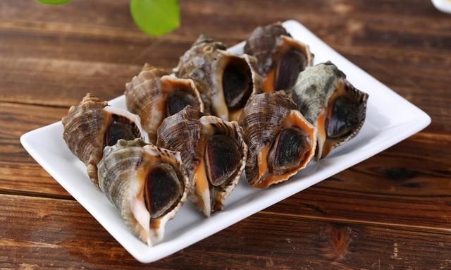海螺煮多久能熟？冷水下锅好还是热水？煮几分钟最好吃？一文搞懂