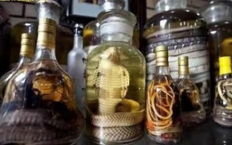 哪些中药泡酒比较好(木瓜要和什么中药泡酒比较好)