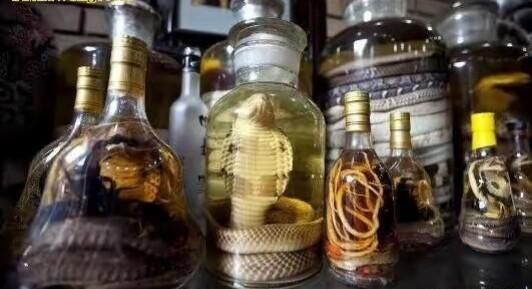 哪些中药泡酒比较好(木瓜要和什么中药泡酒比较好)图1