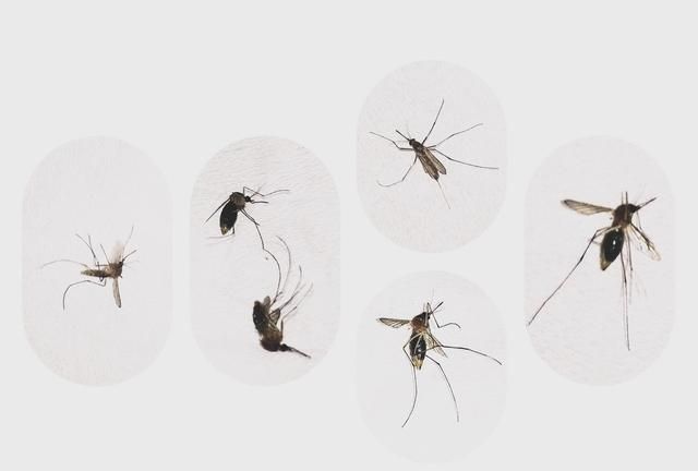 飞蚊症是怎么回事？有没有办法从根本上治疗？