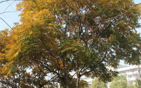 北方妹子常备3款家电，轻松摆脱干燥和鼻敏感，入秋后越用越舒适