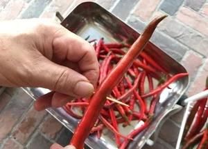 香油泡红辣椒片的做法图9