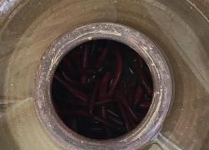 香油泡红辣椒片的做法图10
