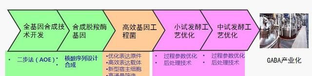 世界最高水准的“γ-氨基丁酸”即将投放市场，这款农业黑科技到底是啥？