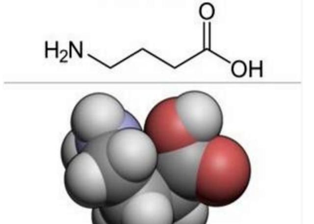 世界最高水准的“γ-氨基丁酸”即将投放市场，这款农业黑科技到底是啥？