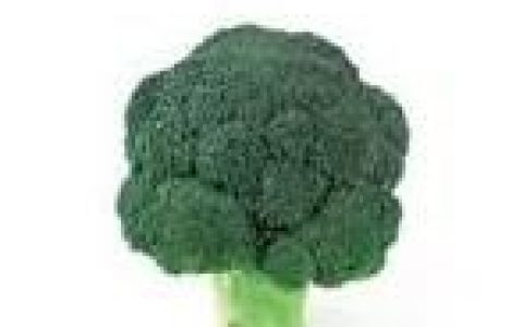 西兰花怎么做好吃最简单(西兰花怎么做好吃简单的做法)