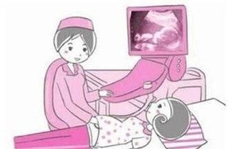 刚怀孕的孕妇该怎么养胎,刚怀孕如何养胎图10