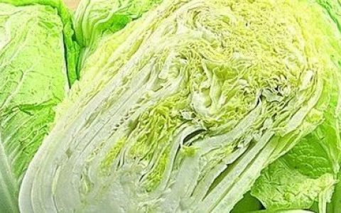 大白菜根有什么用途