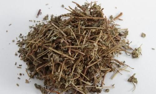 农村常见的地锦草有哪些应用价值