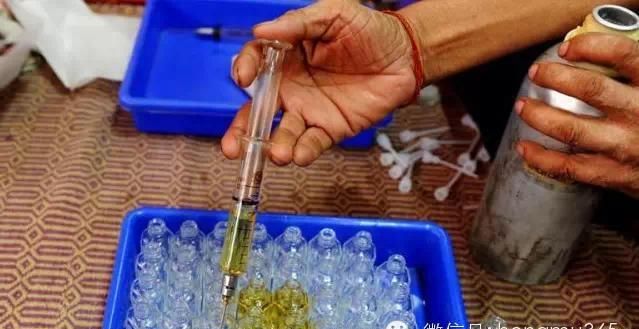 传统檀香精油的制作过程