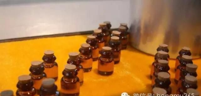 传统檀香精油的制作过程