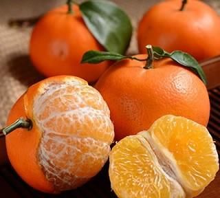 沃柑是橘中黑马，吃一次想一年，它这些极为出众的特点你知道吗？