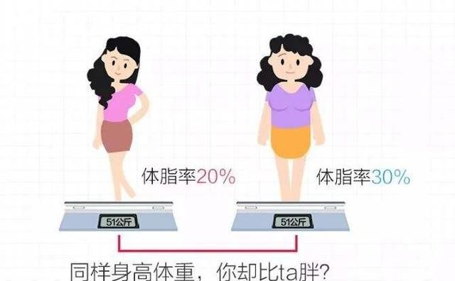 减脂最有效的有氧运动是什么,自律哥有氧运动减脂塑形录屏图12