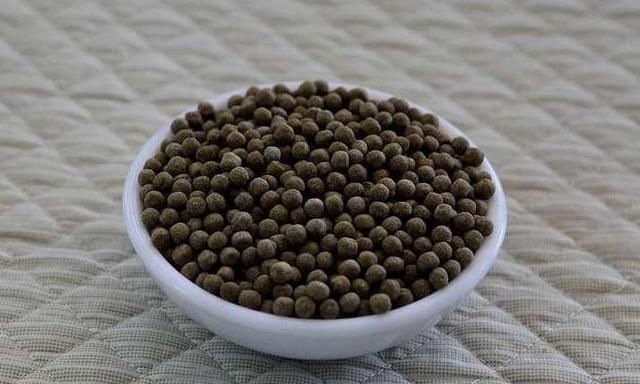 速效救心丸不但“治心”，还对5种病起作用，尤其这些老年常见病