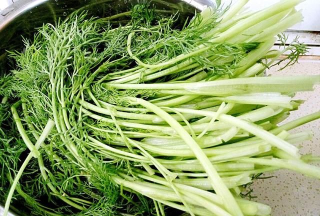 茴香馅儿饺子好不好吃图4