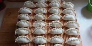 #信任之美#莲菜熟肉饺子