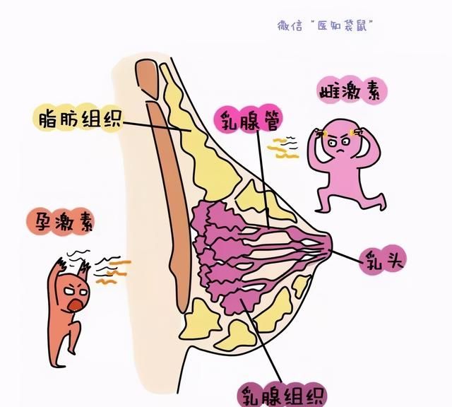 娃还没生出来，就开始分泌乳汁了，这正常吗？