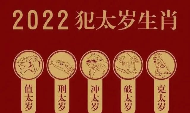 太岁到底是什么(太岁到底是什么动物还是植物)图8
