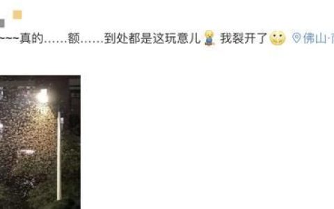 水蚁最怕的三种克星,小小蚁国如何让蚁群跑得更快