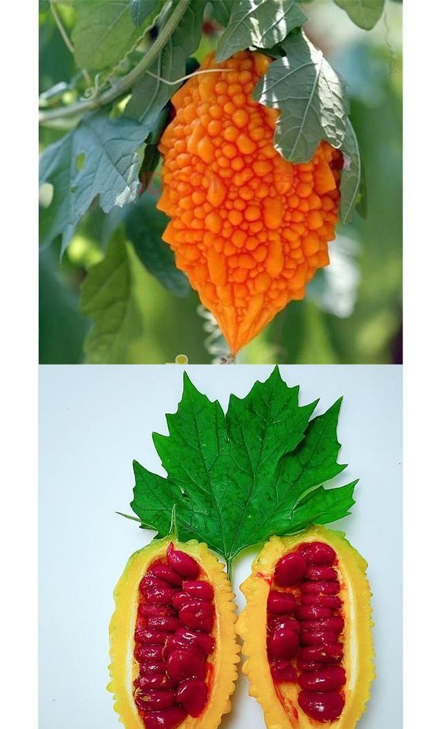 你最讨厌吃的一种水果是什么,鼻炎最怕一种水果敞开吃图4