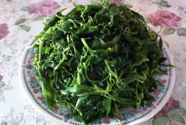扫帚菜怎么晾晒,怎么采摘扫帚菜图1
