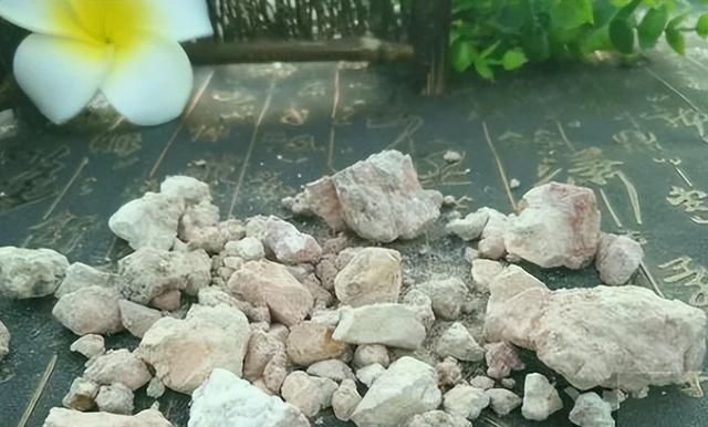 每日一味中药——赤石脂