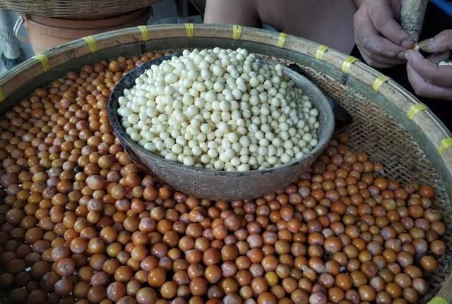 鸡头米是什么米？