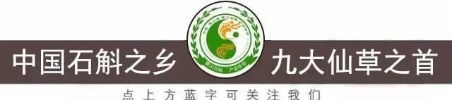 鲜榨霍山石斛汁，你不可错过的养生美味！