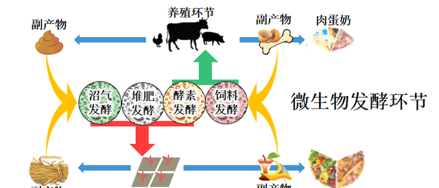 农用酵素管理的有机农业潜力巨大（二）