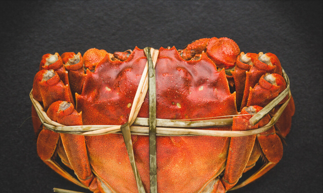 12种螃蟹的辨别图片，带你认识不同的螃蟹和吃法，买螃蟹前看看