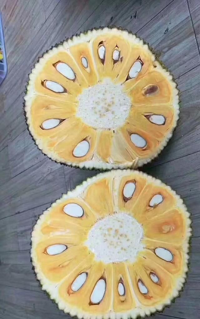 菠萝蜜该怎么种植方法,怎么种菠萝蜜树图11