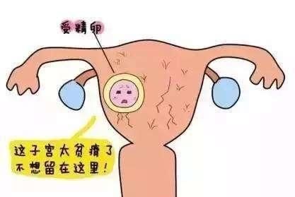 子宫内膜薄能做试管吗什图2