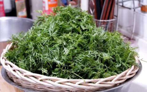 怎么蒸胡萝卜缨子好吃(晒干的胡萝卜缨子怎么吃好吃)