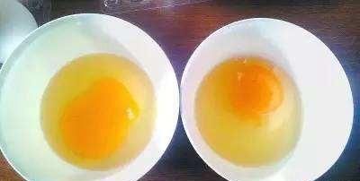 为什么有些不新鲜的鸡蛋会散黄呢图3