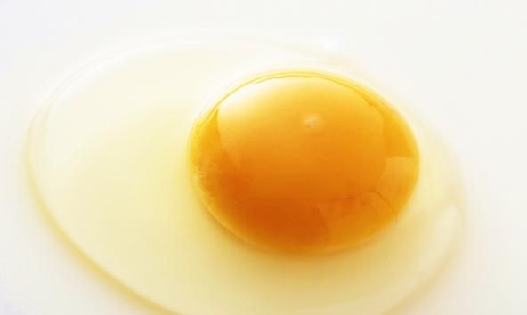 为什么有些不新鲜的鸡蛋会散黄呢图4