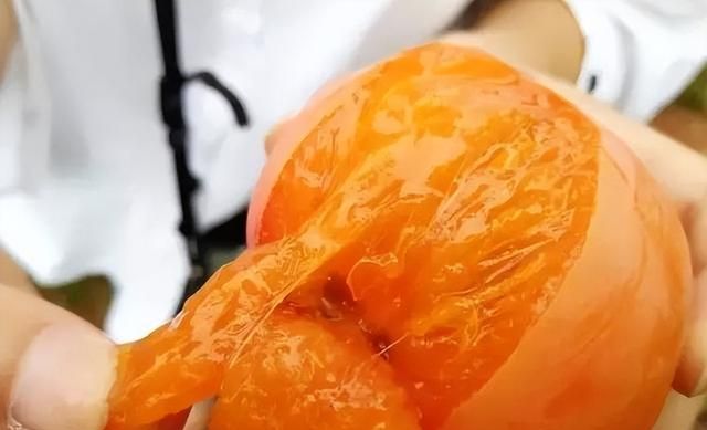为什么说“一个柿子十副药”？柿子有何功效和禁忌？一文讲清楚