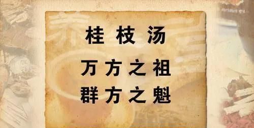 桂枝常用，有什么效果，要怎样使用？
