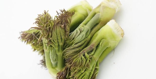 刺嫩芽什么季节可以吃?有哪些吃法呢图3