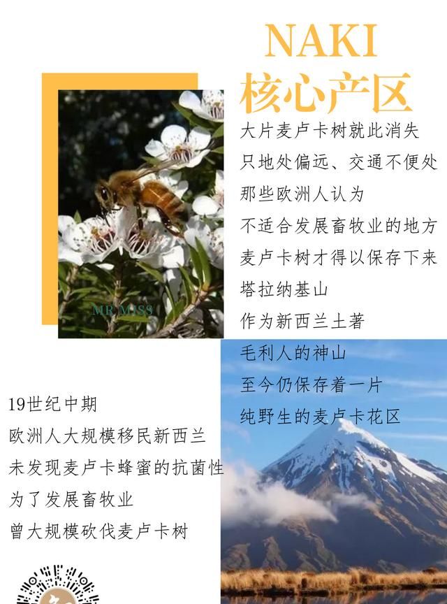 麦卢卡蜂蜜是最好的吗图15