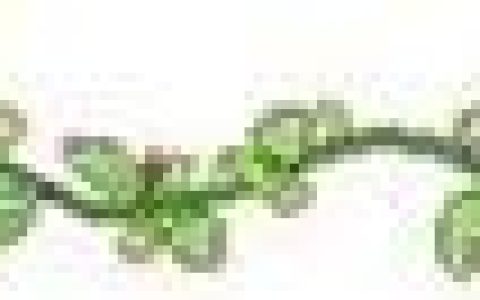 消导化滞的中成药