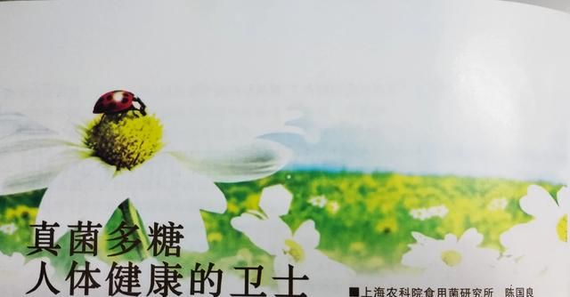 在植物真菌类中提取的多糖对人体有什么好处图1