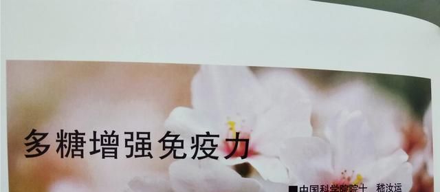 在植物真菌类中提取的多糖对人体有什么好处图2