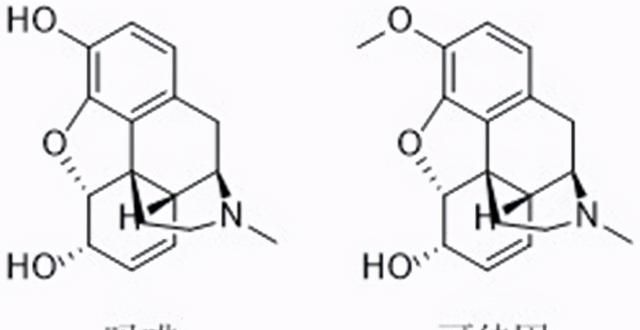 抗炎镇痛药布洛芬，是骨科腰腿痛常用药，却经常被人误解拒绝使用