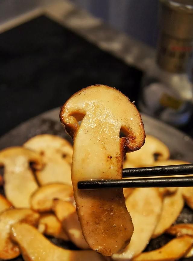 松茸，一个神奇的菌种，你不知道的人间美味，值得你深藏