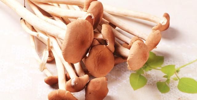 干煸茶树菇的家常做法，简单几步一学就会