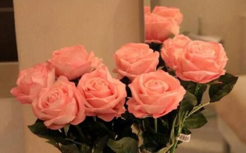 如何延长玫瑰花保鲜期的方法,玫瑰花如何保存才能持久不枯