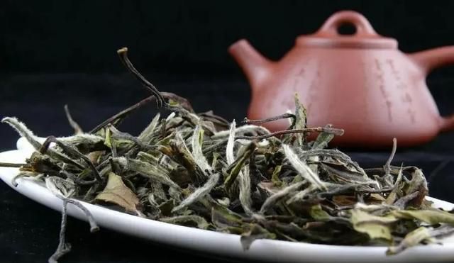 陈年老茶还能喝吗图6