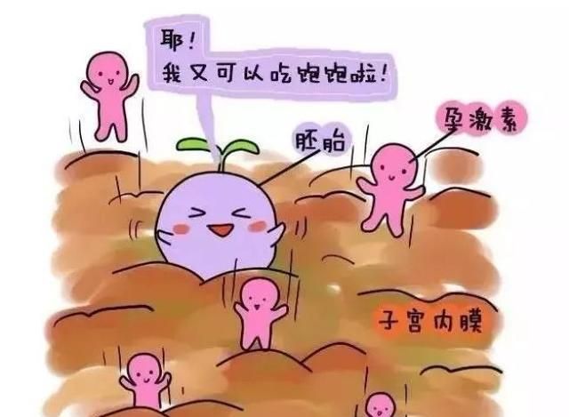一组漫画告诉你：药流和人流的全过程！