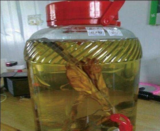 一根驴鞭和牛鞭能泡酒吗图2